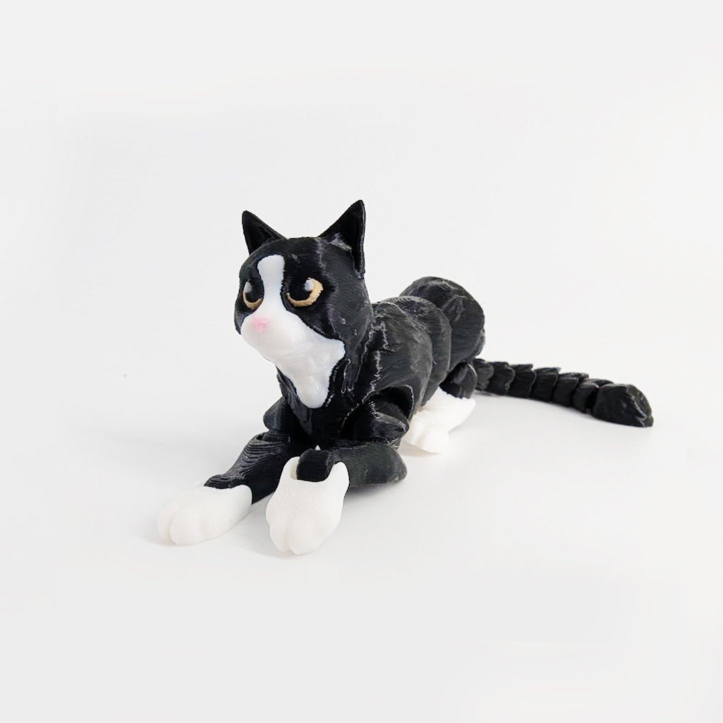 Kitty Cat Friend